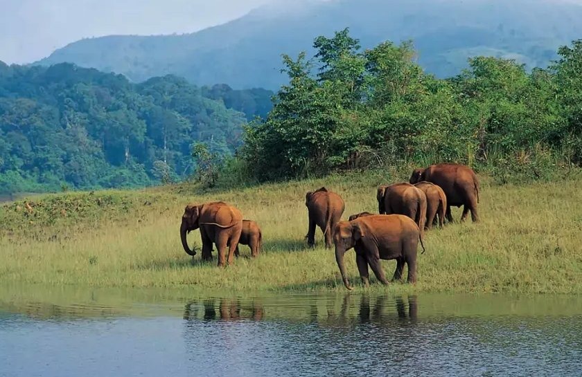 Periyar National Park